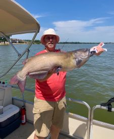 #1 Channel Cat Destination in USA