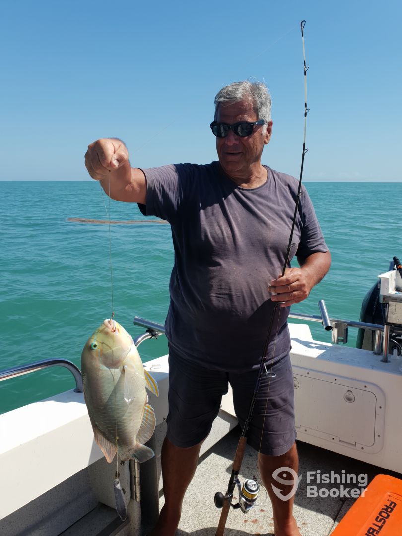 Northern Territory Report Photo 0