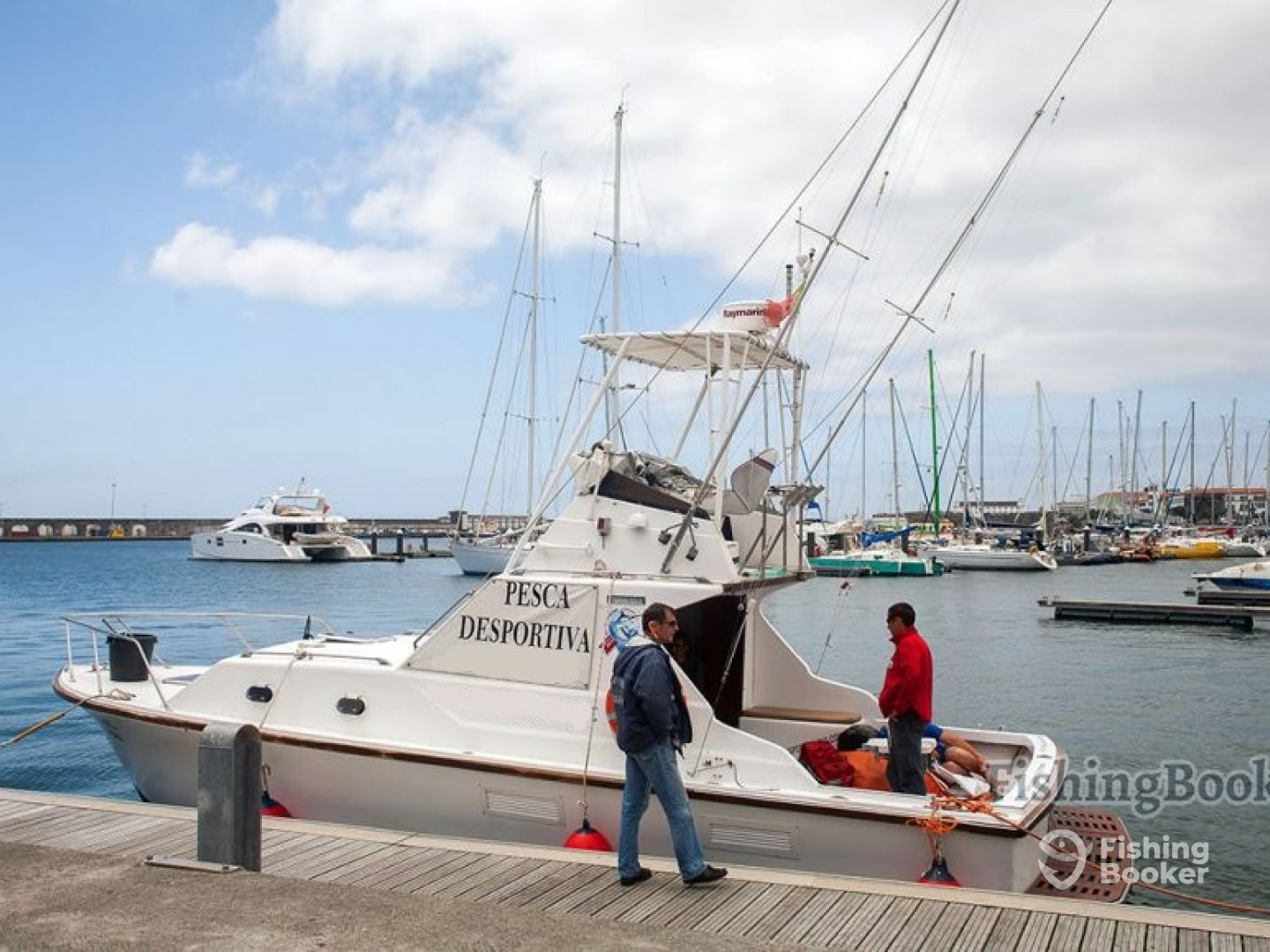 Ponta Delgada Report Photo 0