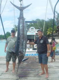 Grand Baie Report Photo 2