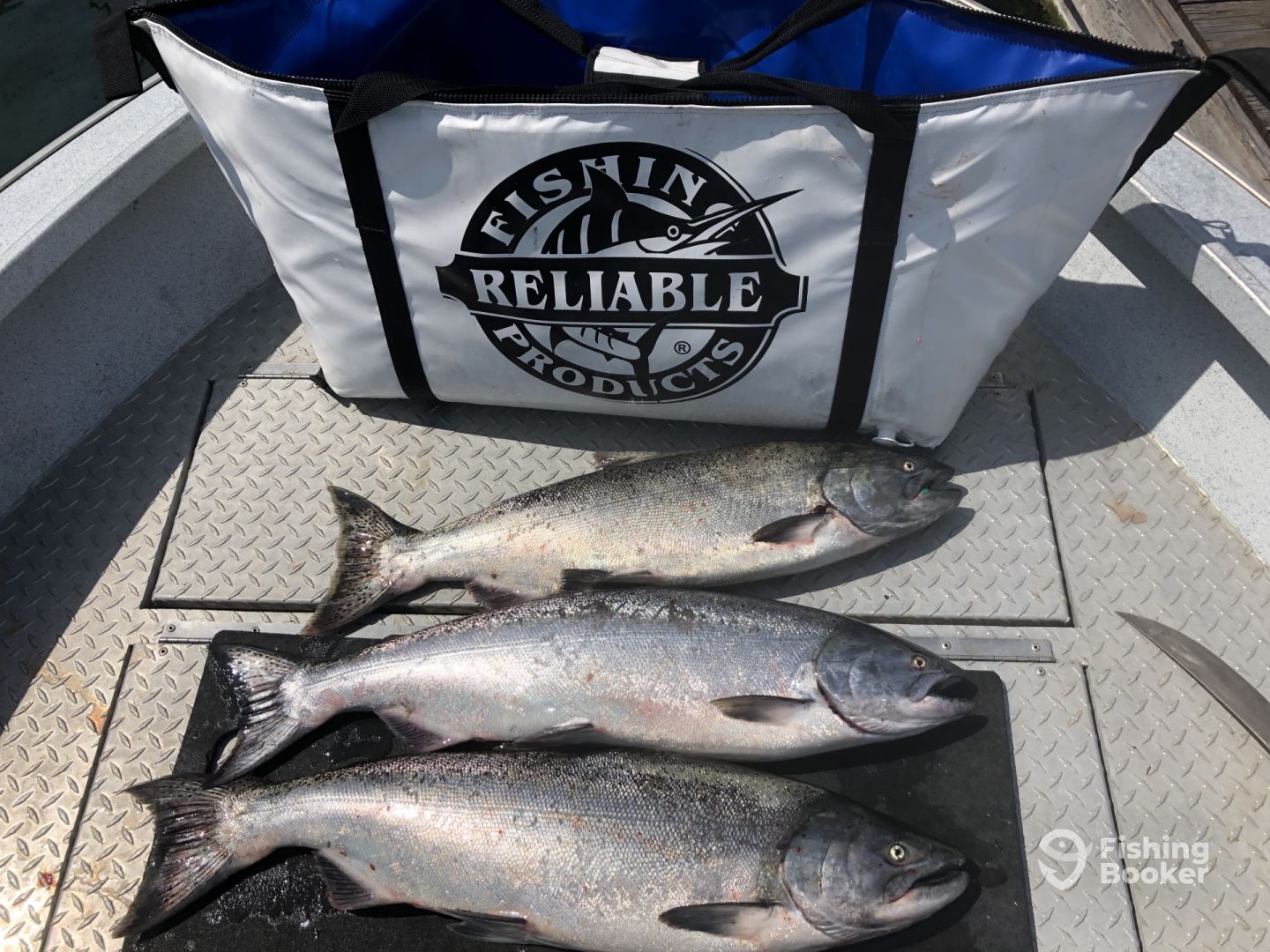 Willapa Bay Report Photo 0