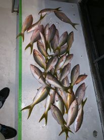 Dania Beach Report Photo 2