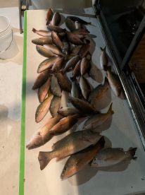 Dania Beach Report Photo 1