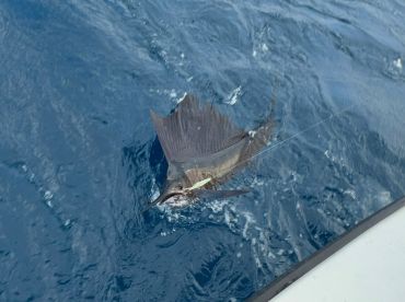 Fishing through August