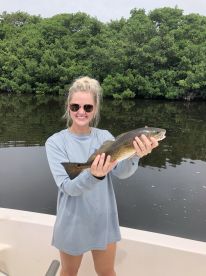 Sarasota Report Photo 2