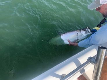 Jacksonville Report Photo 1