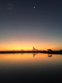 Jacksonville Report Photo 2