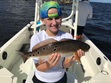 Sanibel Report Photo 1