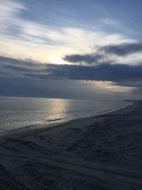 Buenavista Report Photo 4