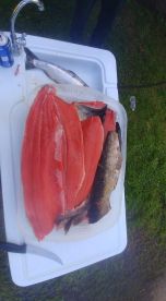 Ocean Shores Report Photo 2