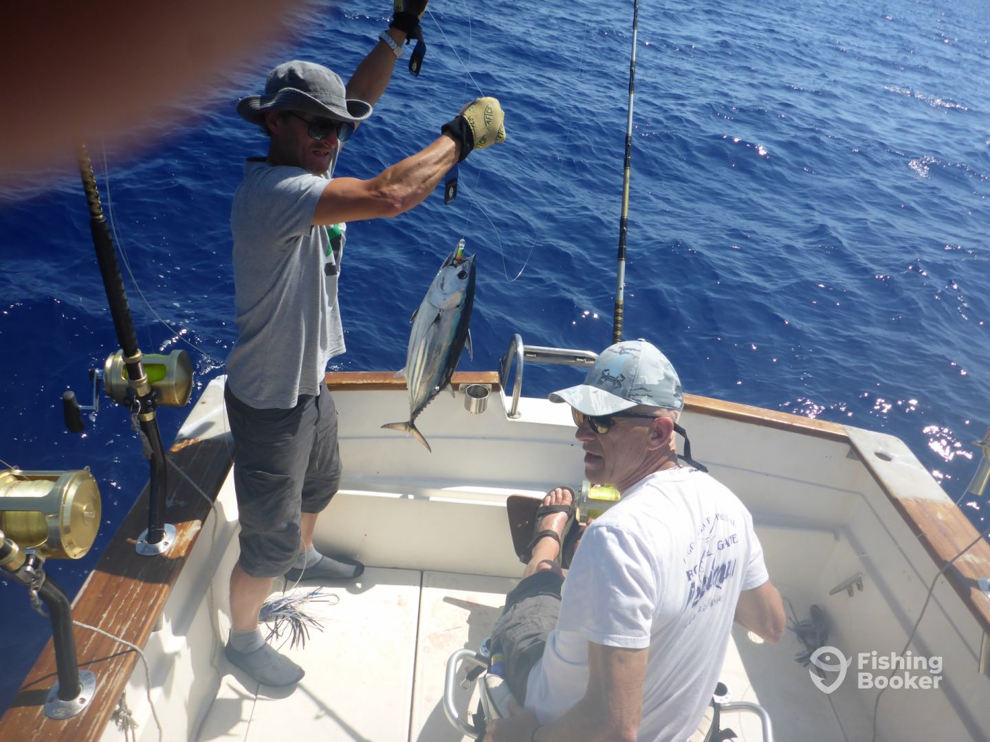Nice Skipkack Tuna