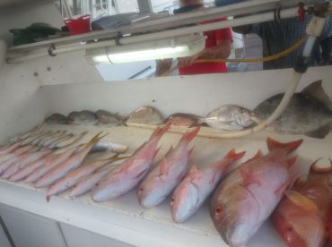Fort Lauderdale Report Photo 2