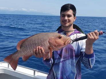 Port Douglas Report Photo 2
