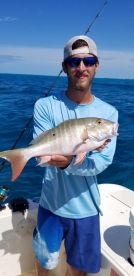 Islamorada Report Photo 2