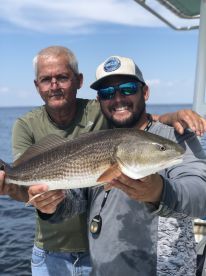Captiva Report Photo 1