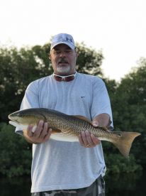 Captiva Report Photo 2