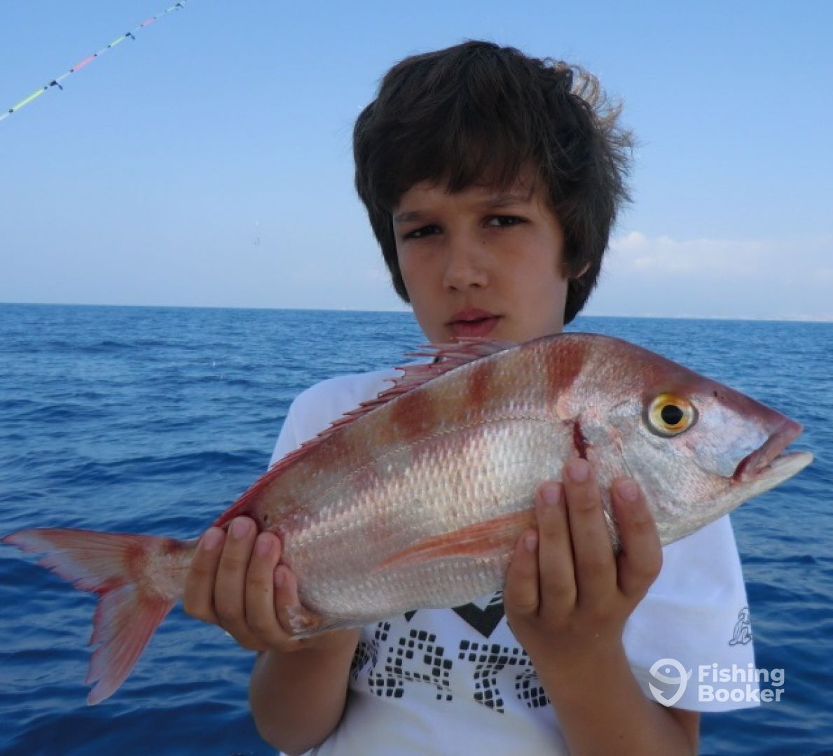 Arenys de Mar Report Photo 0