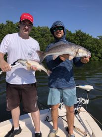 Sarasota Report Photo 2