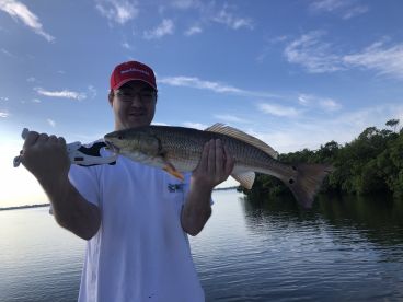Sarasota Report Photo 2