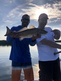 Sarasota Report Photo 1
