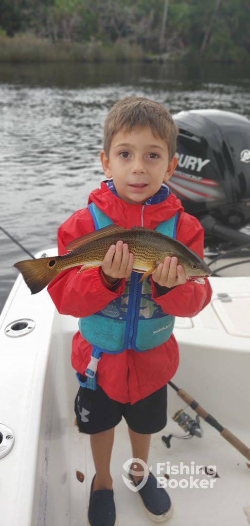 Port Orange Report Photo 0