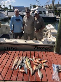 Englewood Report Photo 2