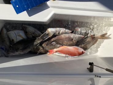 Wrightsville Beach Report Photo 1