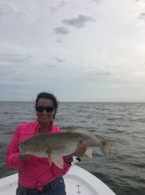 Bokeelia Report Photo 2