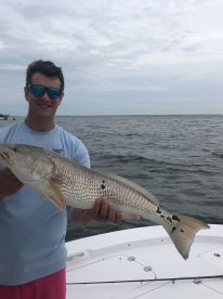 Captiva Report Photo 2