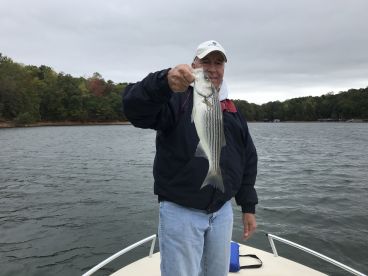 Cumming Report Photo 1