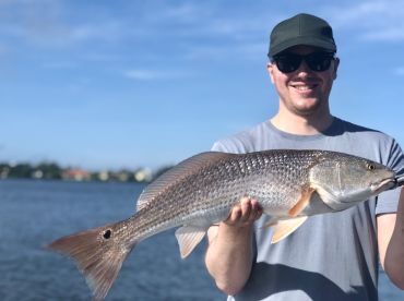 Sarasota Report Photo 1