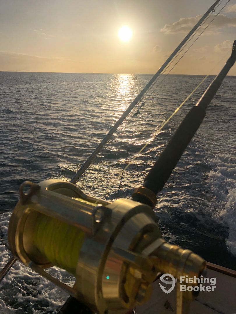Calheta Report Photo 1