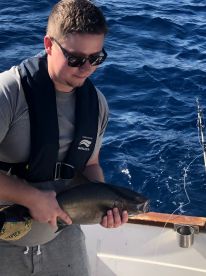 Calheta Report Photo 2