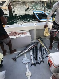 Bridgetown Report Photo 4