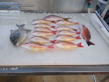 Hypoluxo Report Photo 2
