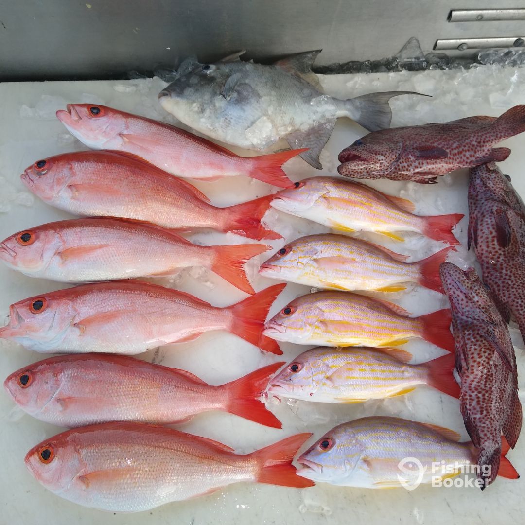 Hypoluxo Report Photo 0