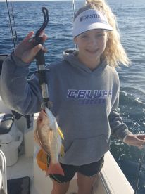 Destin Report Photo 2