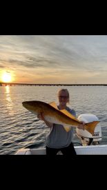 Gulf Breeze Report Photo 4