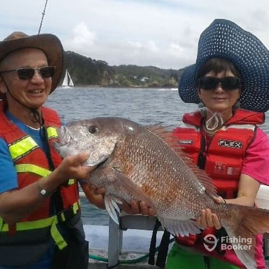 Snapper December 1st 2019