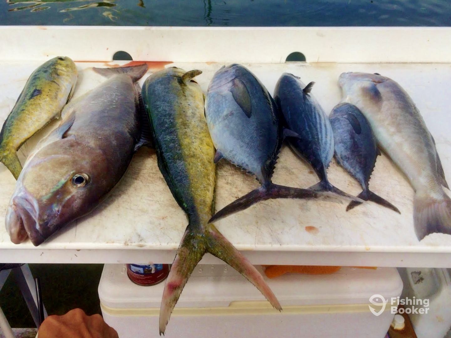 Islamorada Report Photo 0