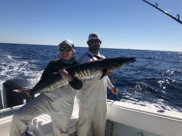 Giant wahoo