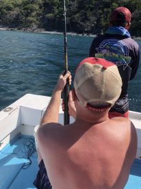 Great figh Rooster fish