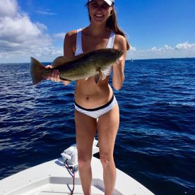 Tampa Report Photo 2