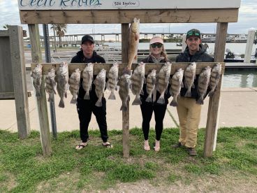 Aransas Pass Report Photo 2
