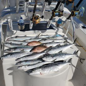 January fishing report