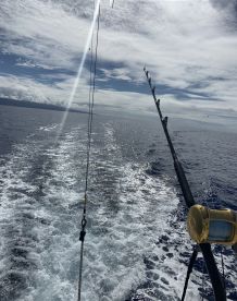 Kailua-Kona Report Photo 2