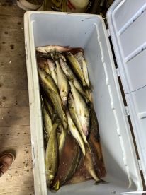 Sandusky Report Photo 1