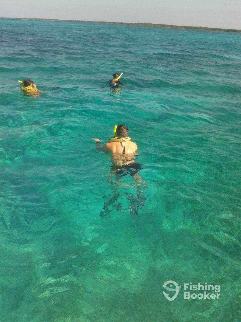Cozumel Report Photo 0