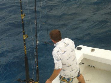 Cozumel Report Photo 2