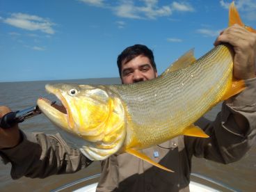 Buenos Aires Report Photo 2